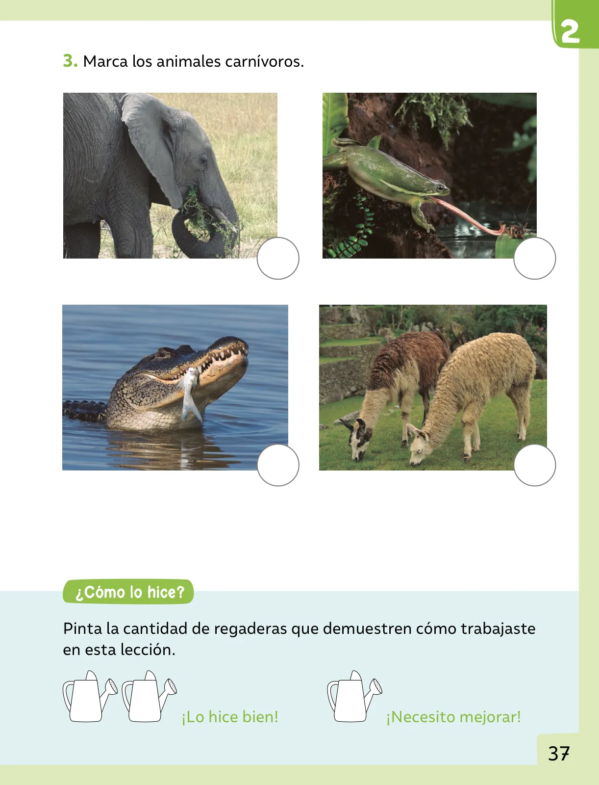 Miniatura página 38 de Ciencias Naturales – Primero Básico | Texto del Estudiante (MINEDUC) – Descargar PDF · 2024