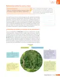 Miniatura página 206 de Libro de Ciencias Naturales – Quinto Básico | Texto del Estudiante MINEDUC – Descargar PDF · 2024