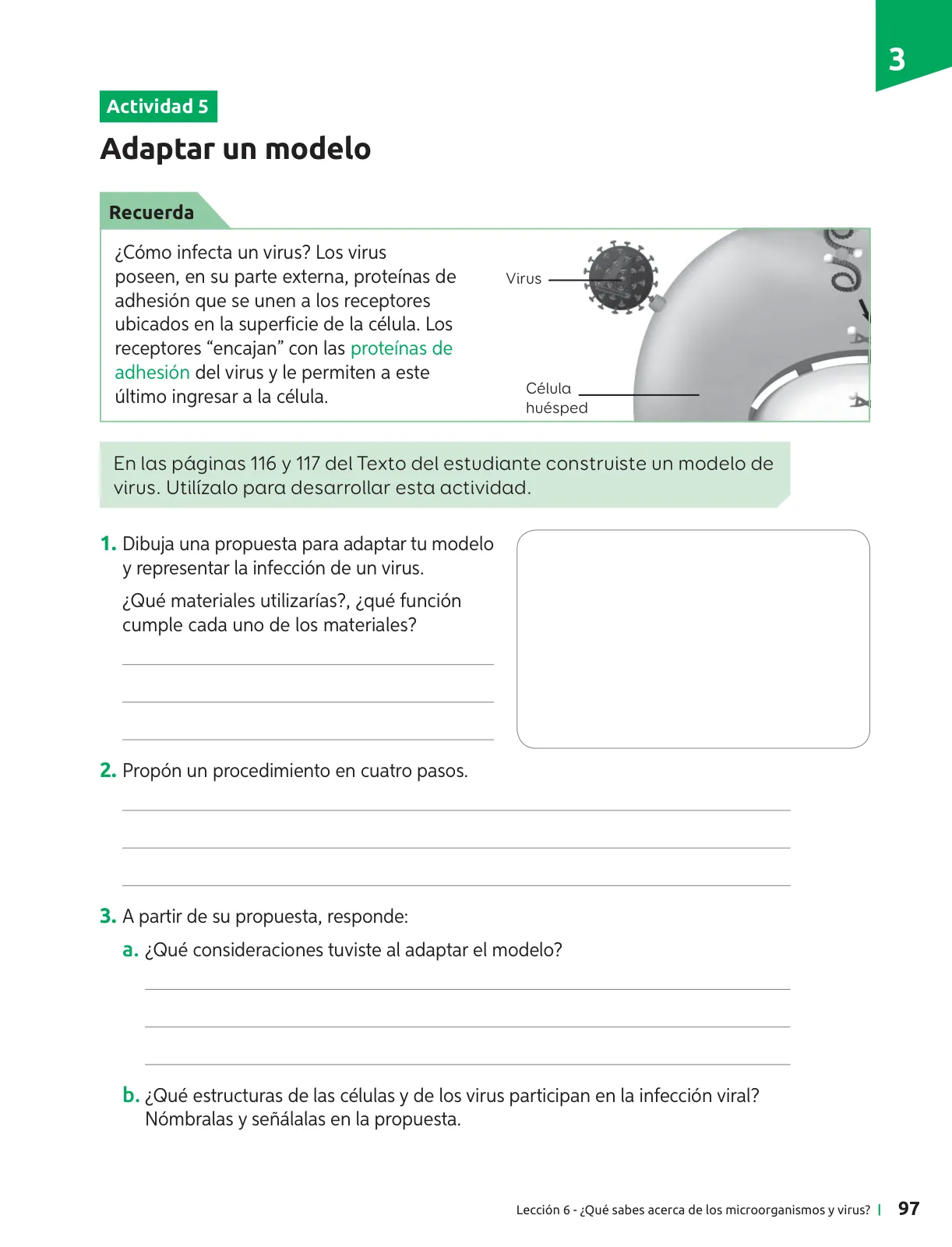 Página 98 de Ciencias Naturales – Séptimo Básico | Texto del Estudiante MINEDUC – Descargar PDF · 2024