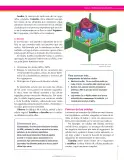 Miniatura página 31 de Ciencias Naturales 6° · Secundaria Activa