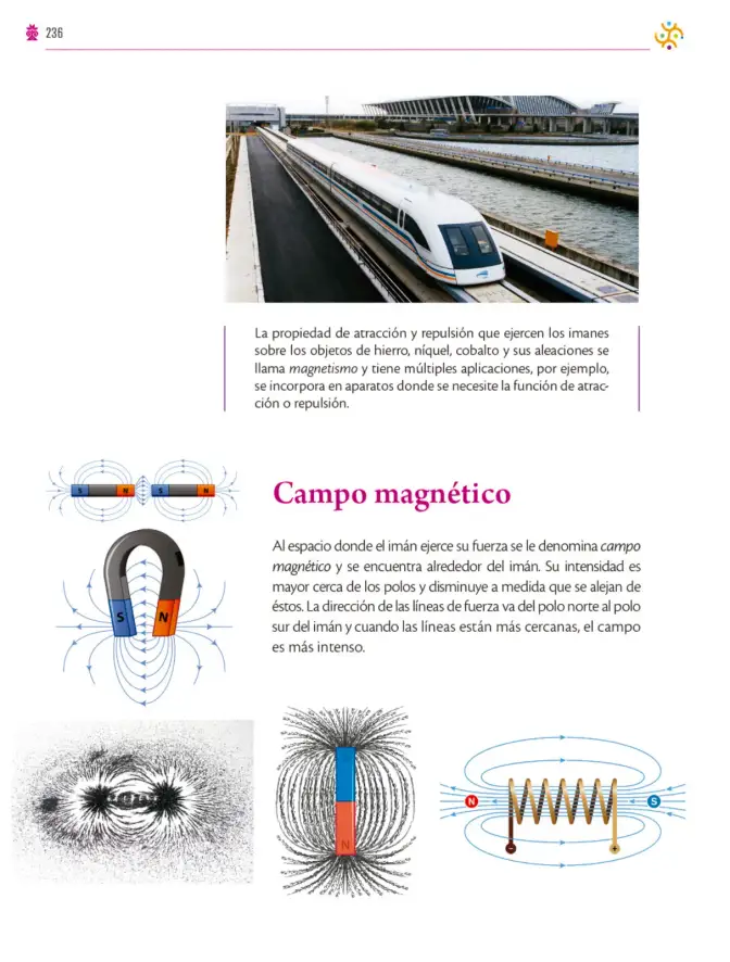 Página 237 de Colección Sk´asolil. Saberes y pensamiento científico. Libro de Educación Secundaria Grado 2° Ciclo Escolar 2025 - 2026