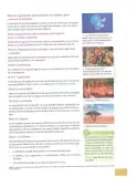 Miniatura página 50 de Ciencias Naturales 8° · Egb 8 Ciencias Naturales 2025 · 2025
