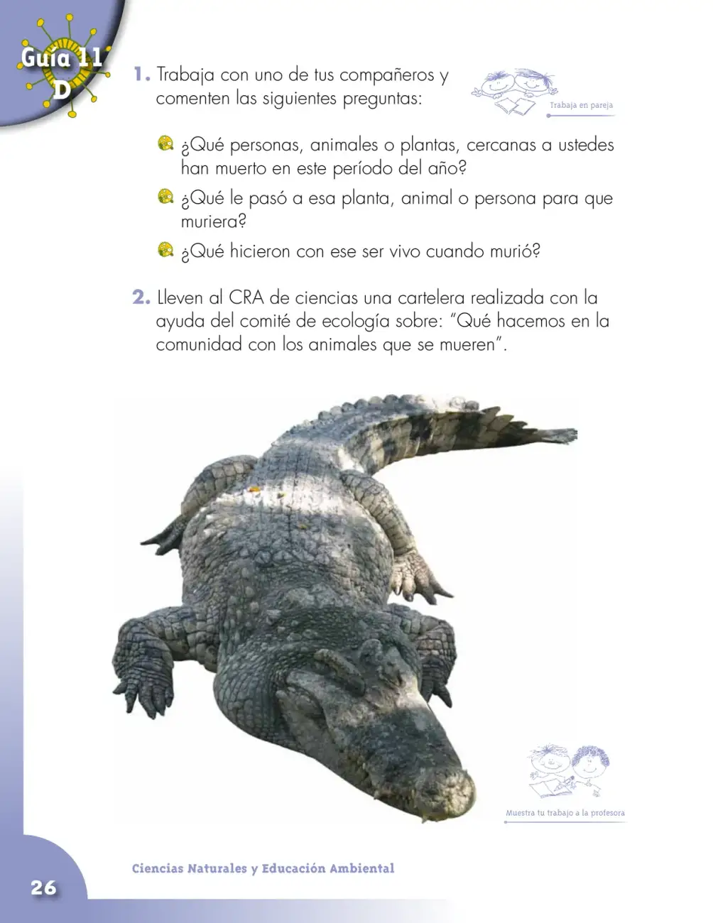 Página 26