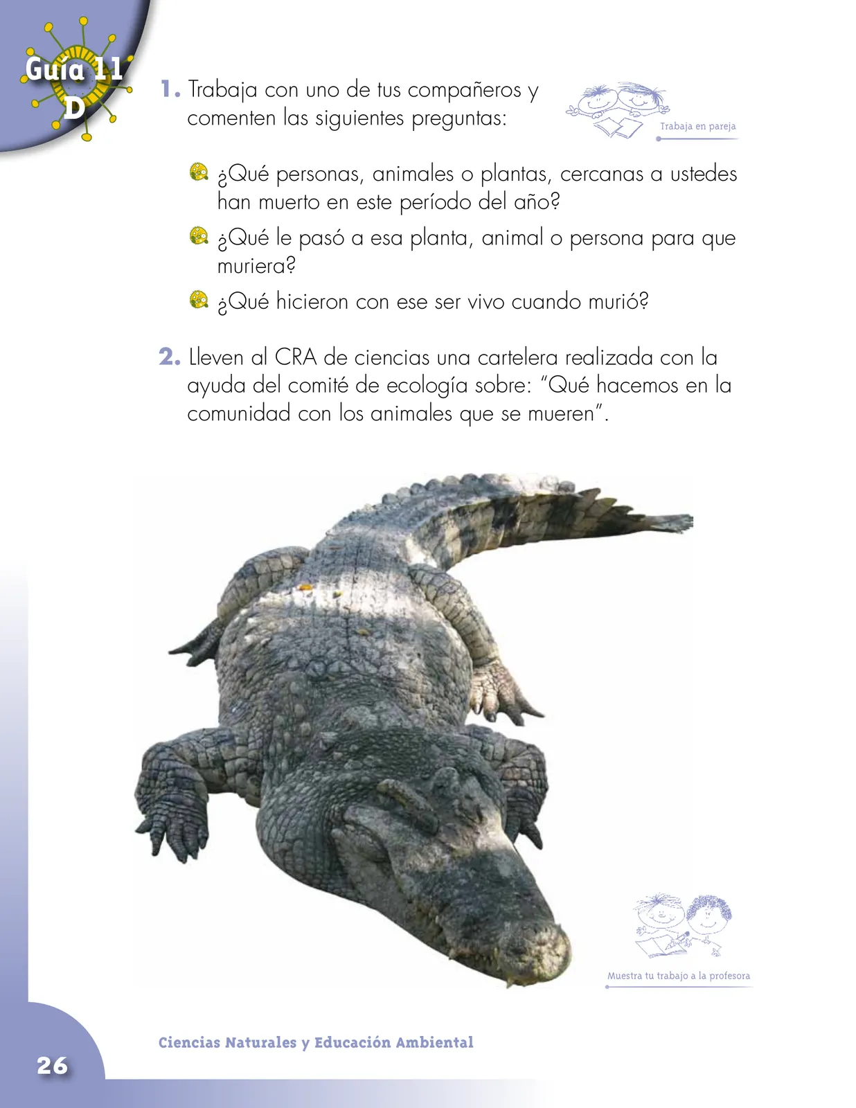 Pág 26