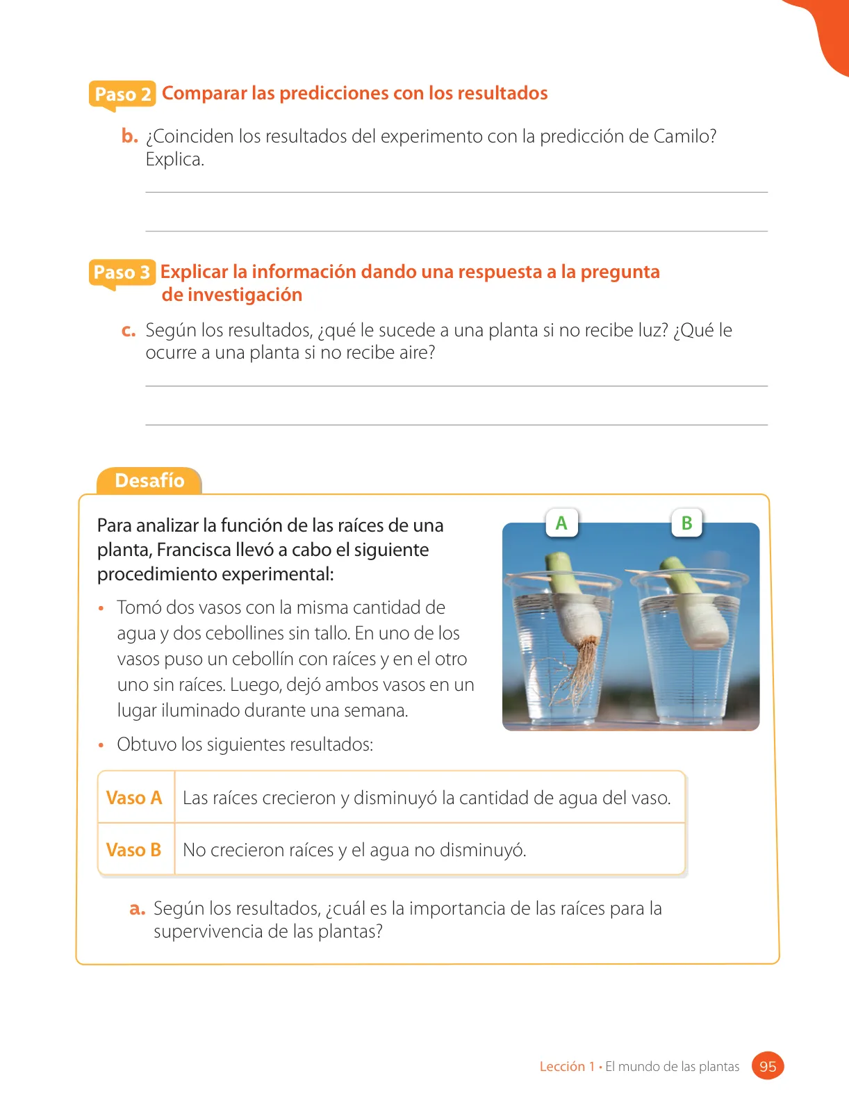 Página 97 de Ciencias Naturales – Tercero Básico | Texto del Estudiante MINEDUC – Descargar PDF · 2024