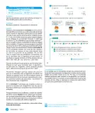 Miniatura página 34 de Sumo Primero – Cuarto Básico | Texto del Estudiante MINEDUC – Descargar PDF · 2024