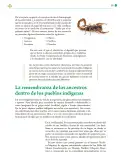 Miniatura página 180 de Colección Sk´asolil. Lenguajes.   Libro de Educación Telesecundaria Grado 2°  Ciclo Escolar 2025 - 2026