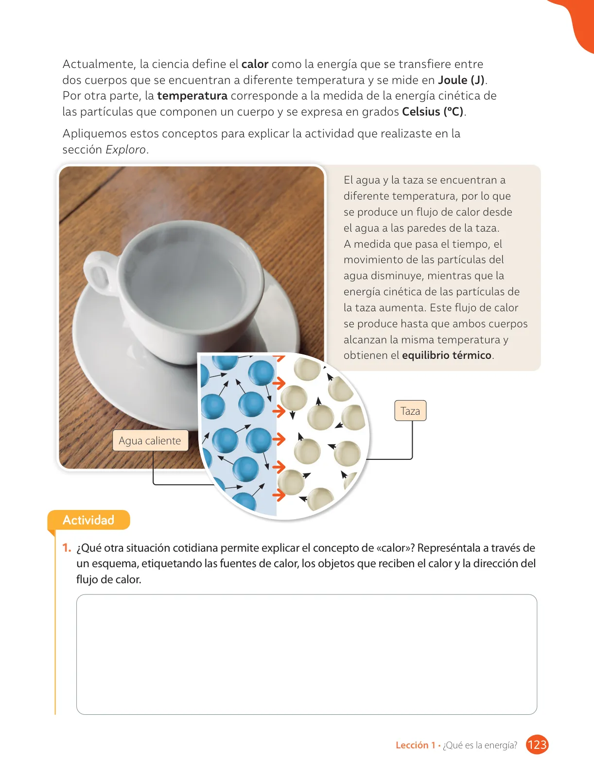 Miniatura página 125 de Libro de Ciencias Naturales – Quinto Básico | Texto del Estudiante MINEDUC – Descargar PDF · 2024