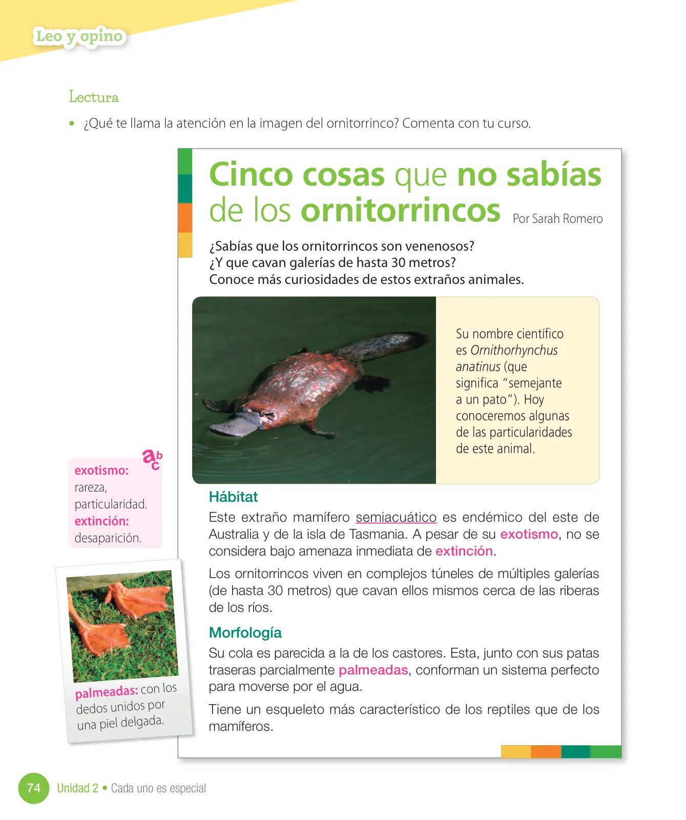 Miniatura página 76 de Lenguaje y Comunicación – Cuarto Básico | Texto del Estudiante MINEDUC – Descargar PDF · 2024