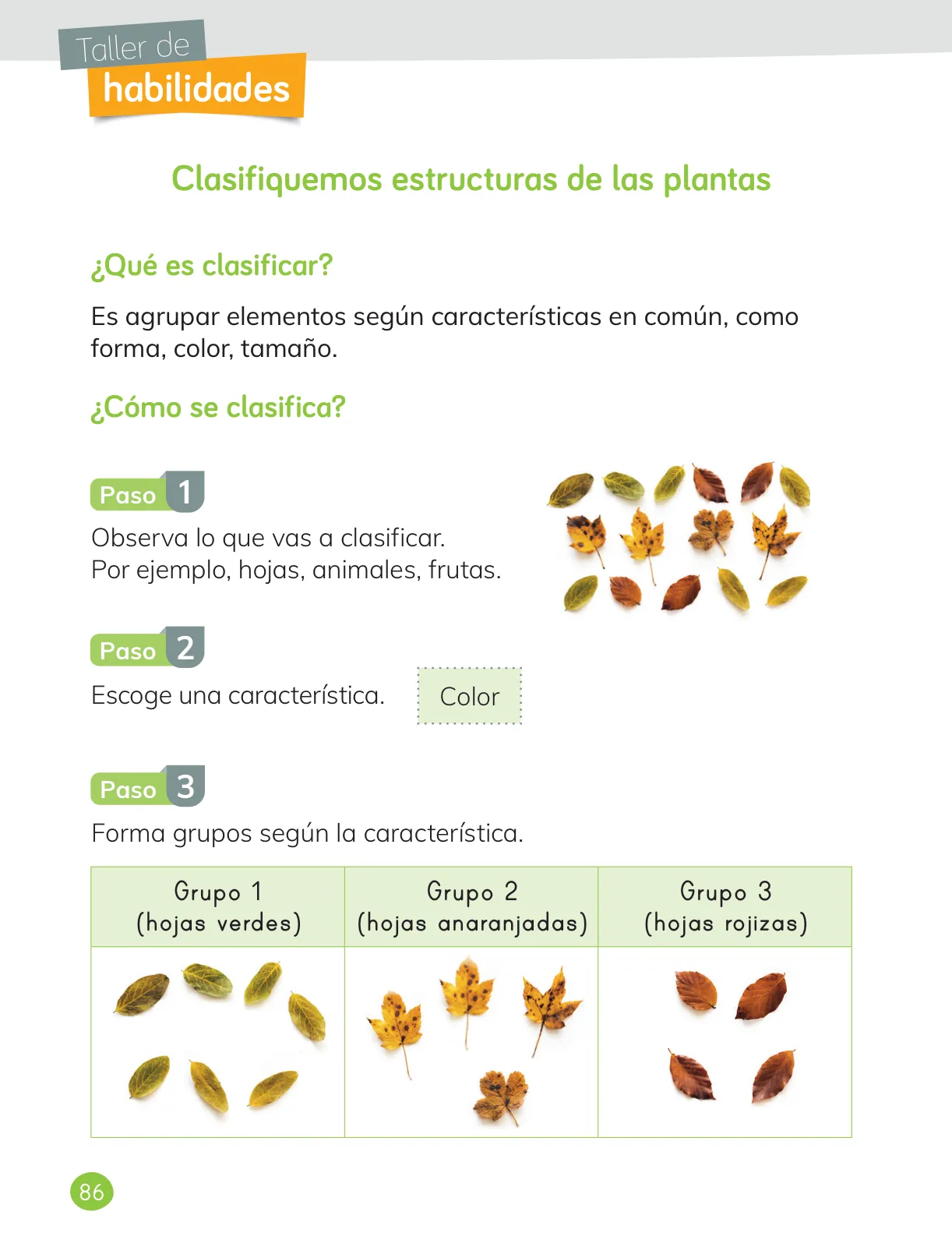 Página 88 de Ciencias Naturales – Primero Básico | Texto del Estudiante (MINEDUC) – Descargar PDF · 2024