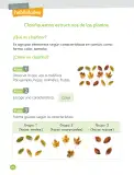 Miniatura página 88 de Ciencias Naturales – Primero Básico | Texto del Estudiante (MINEDUC) – Descargar PDF · 2024