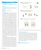 Miniatura página 42 de Sumo Primero – Tercero Básico | Texto del Estudiante MINEDUC – Descargar PDF · 2024