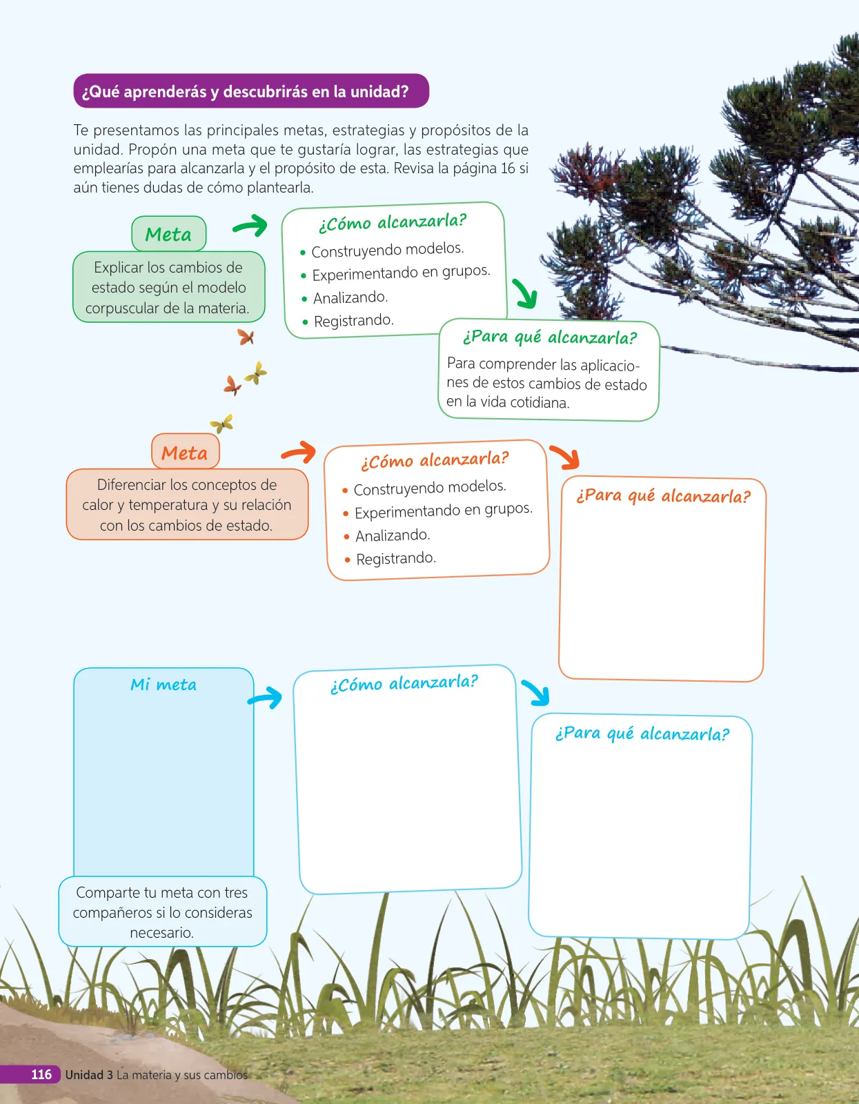 Página 279 de Libro de Ciencias Naturales – Quinto Básico | Texto del Estudiante MINEDUC – Descargar PDF · 2024