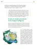 Miniatura página 141 de Colección Ximhai. Lenguajes.   Libro de Educación Telesecundaria Grado 1°  Ciclo Escolar 2025 - 2026