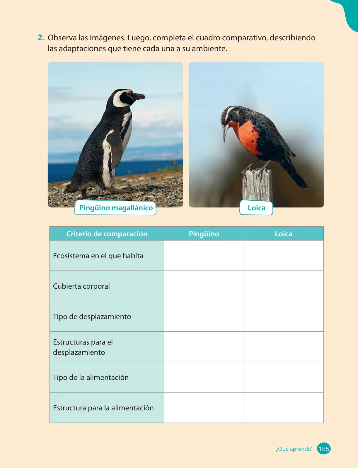 Miniatura página 187 de Ciencias Naturales – Cuarto Básico | Texto del Estudiante MINEDUC – Descargar PDF · 2024