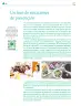 Miniatura página 243 de Colección Ximhai. Nuestro libro de Proyectos.  Tomo II.   Libro de Educación Telesecundaria Grado 1°  Ciclo Escolar 2025 - 2026