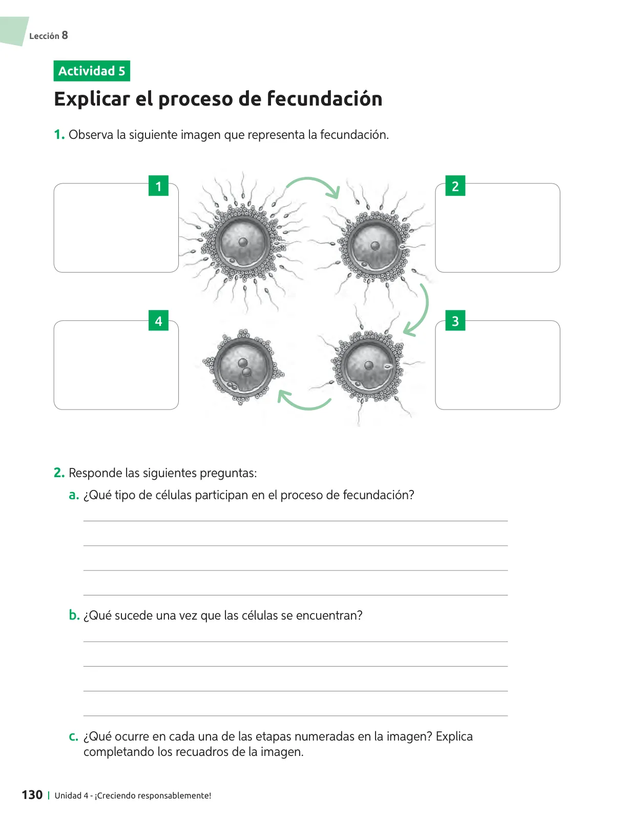 Página 131 de Ciencias Naturales – Séptimo Básico | Texto del Estudiante MINEDUC – Descargar PDF · 2024
