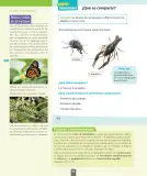 Miniatura página 89 de Ciencias Naturales – Segundo Básico | Texto del Estudiante MINEDUC – Descargar PDF · 2024