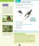 Miniatura página 89 de Ciencias Naturales – Segundo Básico | Texto del Estudiante MINEDUC – Descargar PDF · 2024