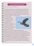 Pág 85