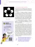 Miniatura página 28 de Aprendemos a través del lenguaje de las artes visuales Fascículo 1 para estudiantes de Educación Secundaria · 2024