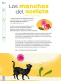 Miniatura página 243 de Múltiples lenguajes.   Libro de Educación Primaria Grado 1°  Ciclo Escolar 2025 - 2026