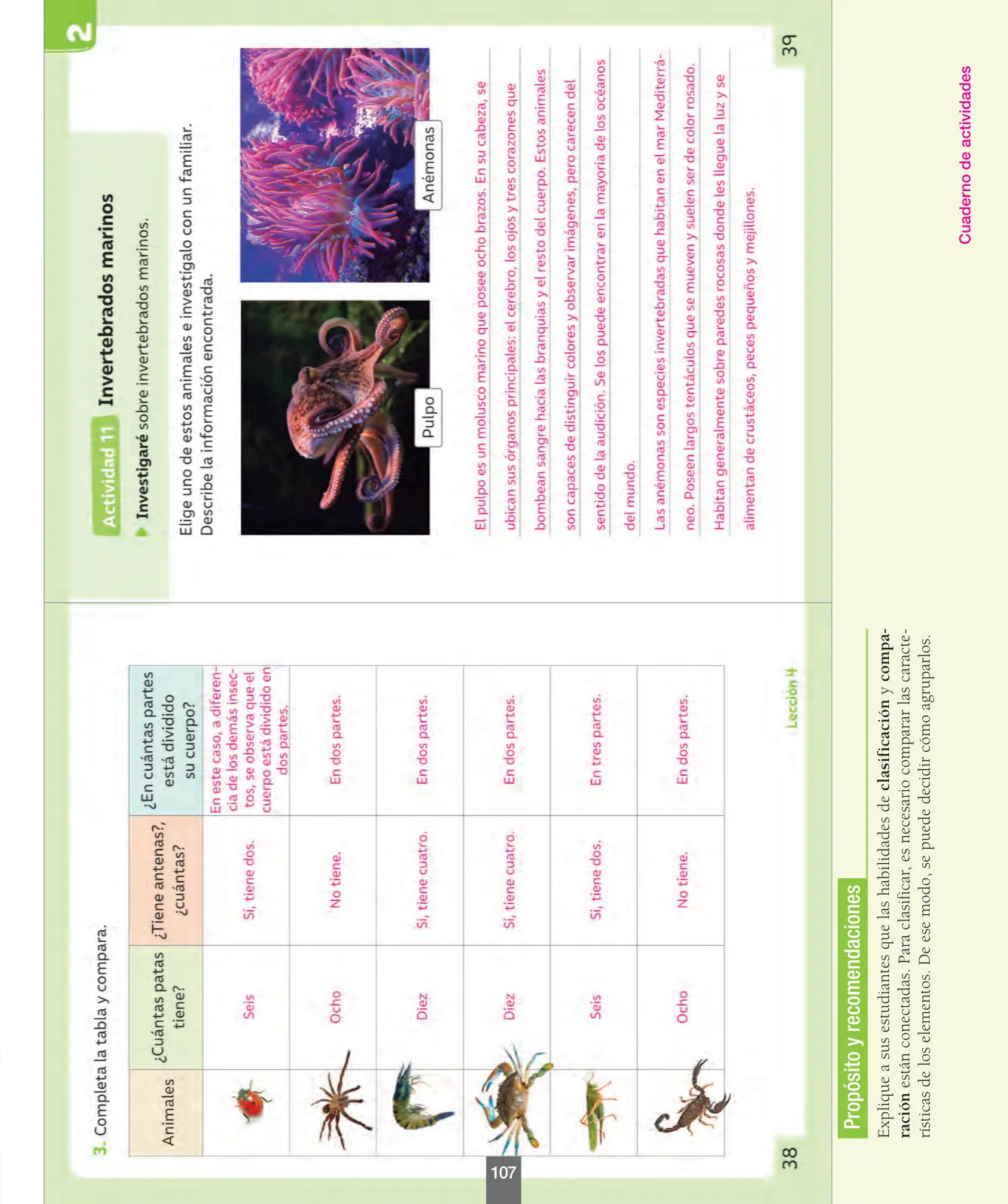 Página 108 de Ciencias Naturales – Segundo Básico | Texto del Estudiante MINEDUC – Descargar PDF · 2024