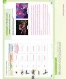 Miniatura página 108 de Ciencias Naturales – Segundo Básico | Texto del Estudiante MINEDUC – Descargar PDF · 2024