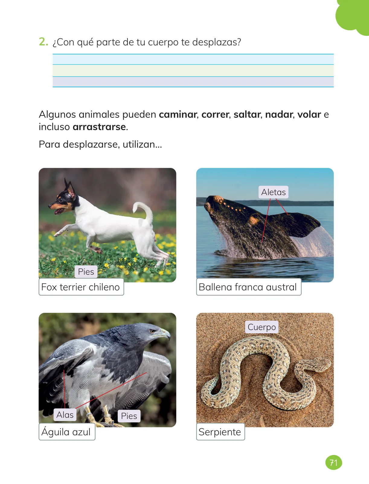 Página 73 de Ciencias Naturales – Primero Básico | Texto del Estudiante (MINEDUC) – Descargar PDF · 2024