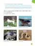 Miniatura página 73 de Ciencias Naturales – Primero Básico | Texto del Estudiante (MINEDUC) – Descargar PDF · 2024