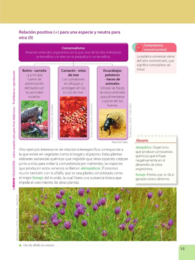 Página 55 de Ciencias Naturales 6° · Egb 6 Ciencias Naturales 2025 · 2025
