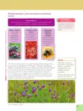 Miniatura página 55 de Ciencias Naturales 6° · Egb 6 Ciencias Naturales 2025 · 2025