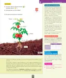 Miniatura página 148 de Ciencias Naturales – Primero Básico | Texto del Estudiante (MINEDUC) – Descargar PDF · 2024