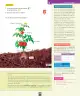 Miniatura página 148 de Ciencias Naturales – Primero Básico | Texto del Estudiante (MINEDUC) – Descargar PDF · 2024