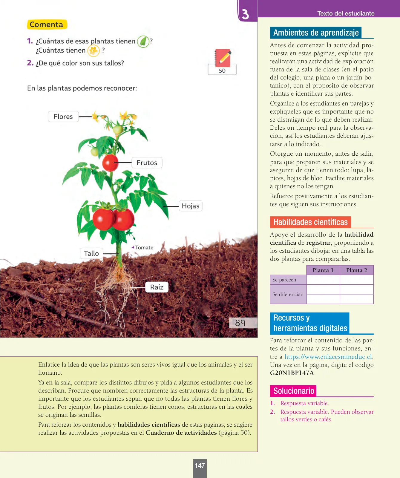 Miniatura página 148 de Ciencias Naturales – Primero Básico | Texto del Estudiante (MINEDUC) – Descargar PDF · 2024