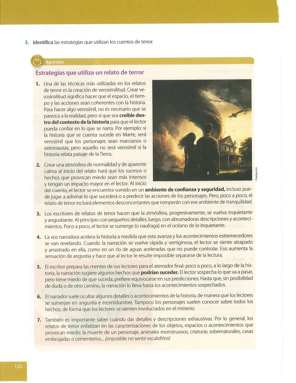 Miniatura página 120 de Lengua Y Literatura · 8 EGB · 2025