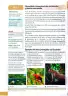 Miniatura página 27 de Ciencias Naturales 4° · Egb 4 Ciencias Naturales 2025 · 2025
