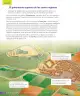 Miniatura página 157 de Ciencias Naturales – Cuarto Básico | Texto del Estudiante MINEDUC – Descargar PDF · 2024