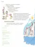 Miniatura página 243 de Proyectos de Aula.   Libro de Educación Primaria Grado 3°  Ciclo Escolar 2025 - 2026