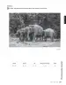 Miniatura página 87 de Inglés – Sexto Básico | Student’s Book MINEDUC – Descargar PDF · 2024