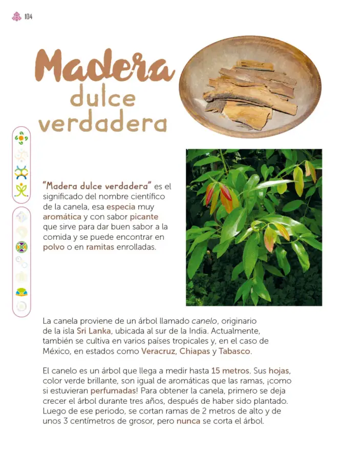 Página 105 de Múltiples lenguajes. Libro de Educación Primaria Grado 3° Ciclo Escolar 2025 - 2026