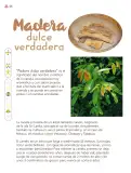 Miniatura página 105 de Múltiples lenguajes.   Libro de Educación Primaria Grado 3°  Ciclo Escolar 2025 - 2026