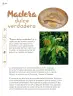 Miniatura página 105 de Múltiples lenguajes.   Libro de Educación Primaria Grado 3°  Ciclo Escolar 2025 - 2026