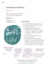 Miniatura página 215 de Proyectos Escolares.   Libro de Educación Primaria Grado 1°  Ciclo Escolar 2025 - 2026