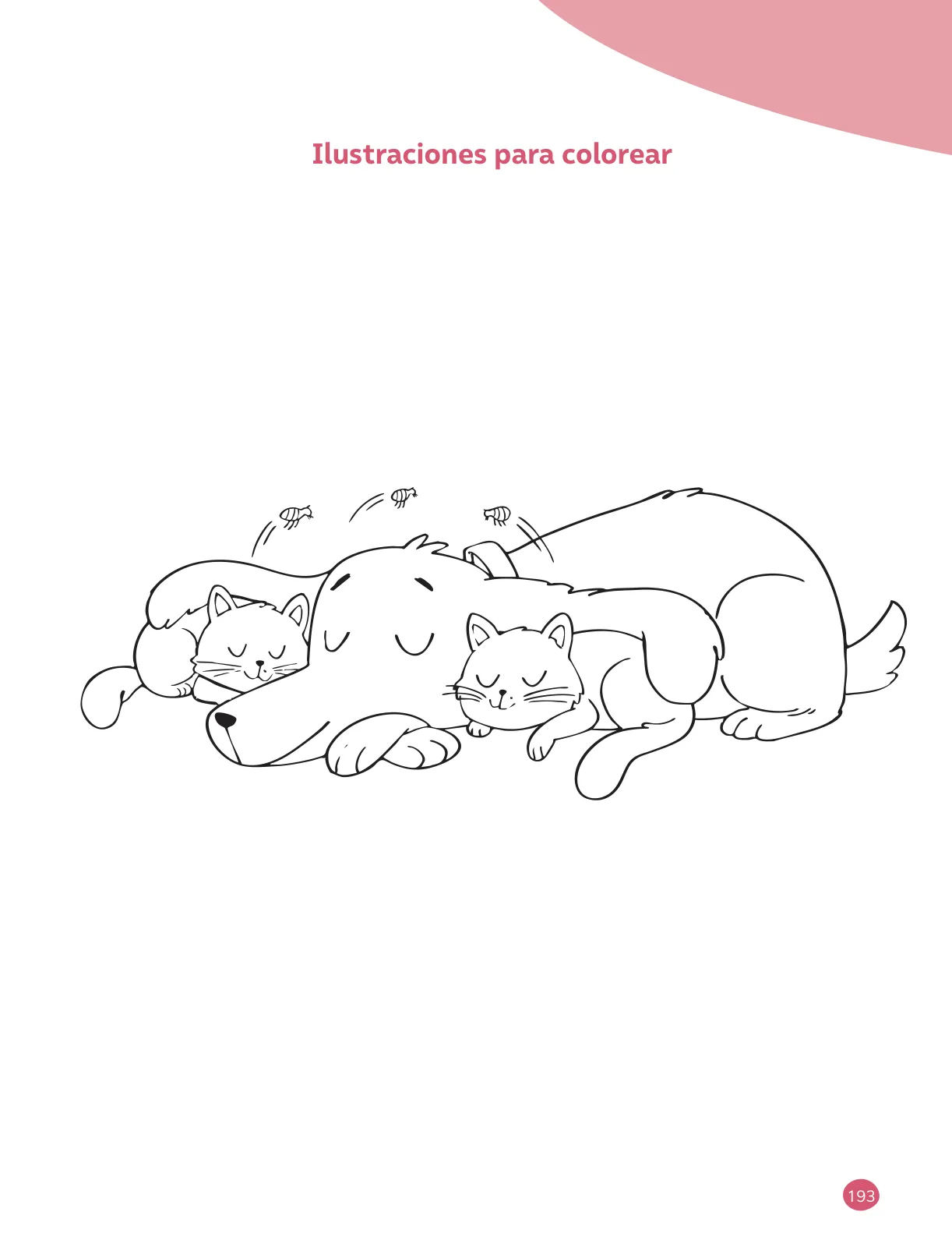 Página 195 de Ciencias Naturales – Tercero Básico | Texto del Estudiante MINEDUC – Descargar PDF · 2024