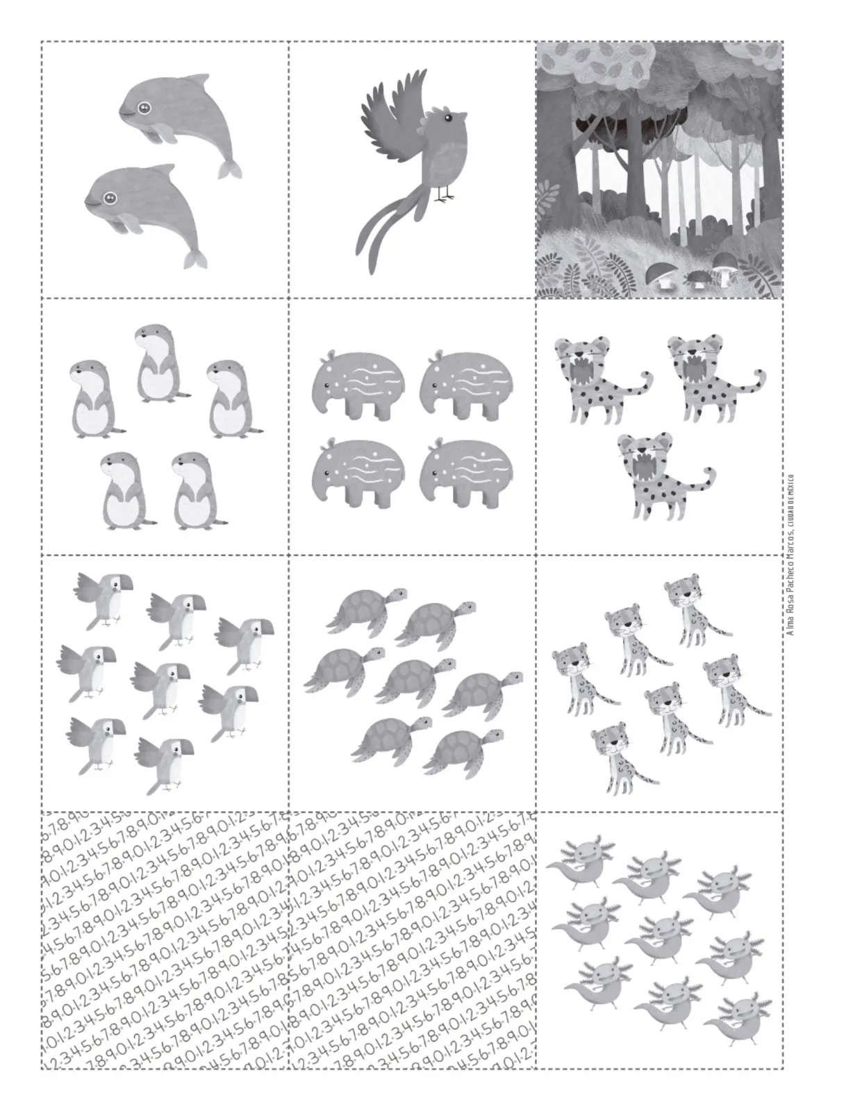 Página 117 de Múltiples lenguajes. Trazos y números. Libro de Educación Primaria Grado 1° Ciclo Escolar 2025 - 2026