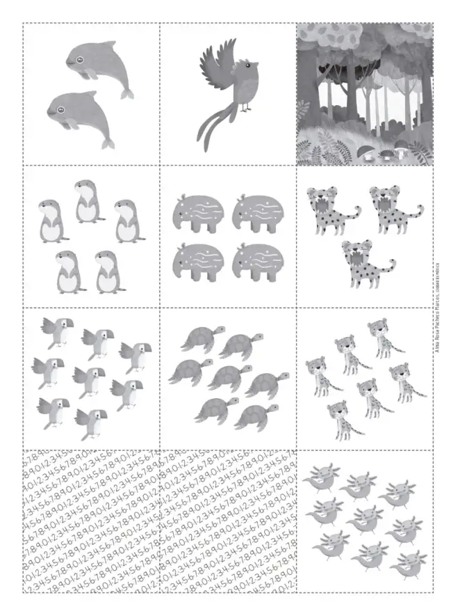Página 117 de Múltiples lenguajes. Trazos y números. Libro de Educación Primaria Grado 1° Ciclo Escolar 2025 - 2026