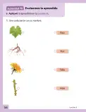 Miniatura página 57 de Ciencias Naturales – Primero Básico | Texto del Estudiante (MINEDUC) – Descargar PDF · 2024
