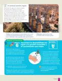 Miniatura página 81 de Historia, Geografía y Ciencias Sociales – Séptimo Básico | Texto del Estudiante MINEDUC – Descargar PDF · 2024