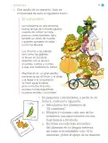 Miniatura página 72 de Proyectos de Aula.   Libro de Educación Primaria Grado 1°  Ciclo Escolar 2025 - 2026